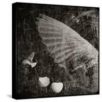 The Equations of Birds-Lydia Marano-Stretched Canvas