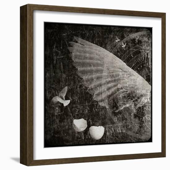 The Equations of Birds-Lydia Marano-Framed Photographic Print