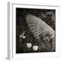 The Equations of Birds-Lydia Marano-Framed Photographic Print