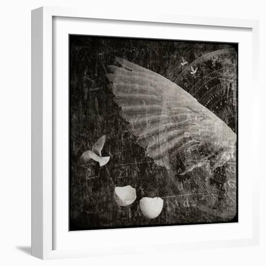 The Equations of Birds-Lydia Marano-Framed Photographic Print