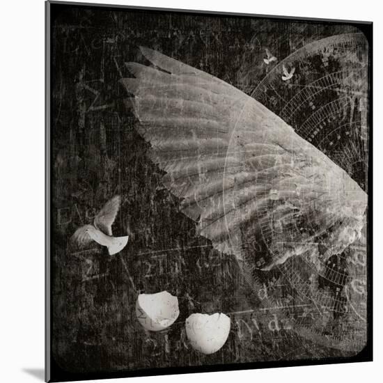 The Equations of Birds-Lydia Marano-Mounted Photographic Print