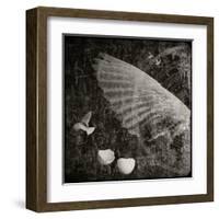 The Equations of Birds-Lydia Marano-Framed Premium Photographic Print