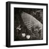 The Equations of Birds-Lydia Marano-Framed Premium Photographic Print