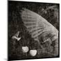 The Equations of Birds-Lydia Marano-Mounted Premium Photographic Print