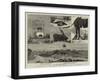 The Erection of the Duke of Wellington's Statue at Aldershot-null-Framed Giclee Print