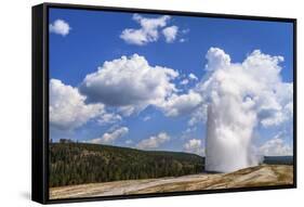 The Eruption of Old Faithful Geyser in Yellowstone National Park on a Late Summer Day-Clint Losee-Framed Stretched Canvas