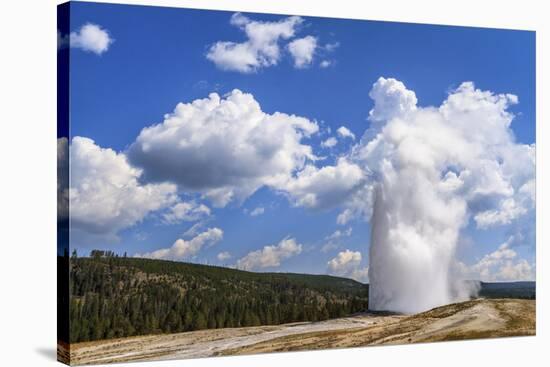 The Eruption of Old Faithful Geyser in Yellowstone National Park on a Late Summer Day-Clint Losee-Stretched Canvas