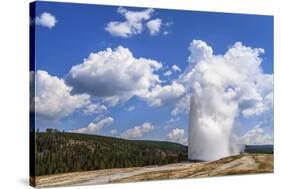 The Eruption of Old Faithful Geyser in Yellowstone National Park on a Late Summer Day-Clint Losee-Stretched Canvas