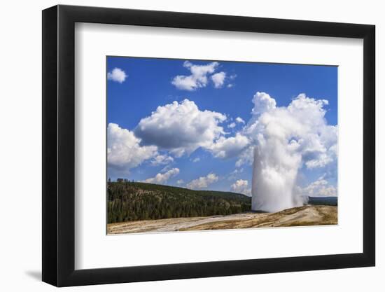 The Eruption of Old Faithful Geyser in Yellowstone National Park on a Late Summer Day-Clint Losee-Framed Photographic Print