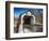 The Erwina Covered Bridge During Winter Season, Bucks County, Pennsylvania-George Oze-Framed Photographic Print