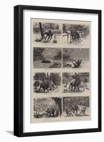 The Escape and Recapture of a Baby Elephant in Ceylon-null-Framed Giclee Print