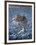 The Escape of Henri De Rochefort 1874-Edouard Manet-Framed Giclee Print