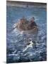 The Escape of Henri De Rochefort 1874-Edouard Manet-Mounted Giclee Print