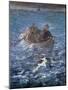 The Escape of Henri De Rochefort 1874-Edouard Manet-Mounted Giclee Print