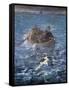 The Escape of Henri De Rochefort 1874-Edouard Manet-Framed Stretched Canvas