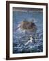 The Escape of Henri De Rochefort 1874-Edouard Manet-Framed Giclee Print