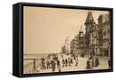 Framed Canvas