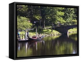 The Esplanade Next to the Charles River, Boston, Massachusetts, New England, USA-Amanda Hall-Framed Stretched Canvas