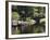 The Esplanade Next to the Charles River, Boston, Massachusetts, New England, USA-Amanda Hall-Framed Photographic Print