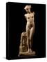 The Esquiline Venus, Roman copy of a Greek original, Marble, 1st century BC-null-Stretched Canvas