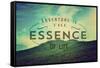 The Essence of Life-Vintage Skies-Framed Stretched Canvas