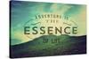 The Essence of Life-Vintage Skies-Stretched Canvas