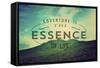 The Essence of Life-Vintage Skies-Framed Stretched Canvas