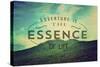 The Essence of Life-Vintage Skies-Stretched Canvas