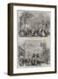 The Essex Agricultural Society's Show at Halstead-null-Framed Giclee Print