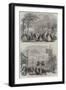 The Essex Agricultural Society's Show at Halstead-null-Framed Giclee Print