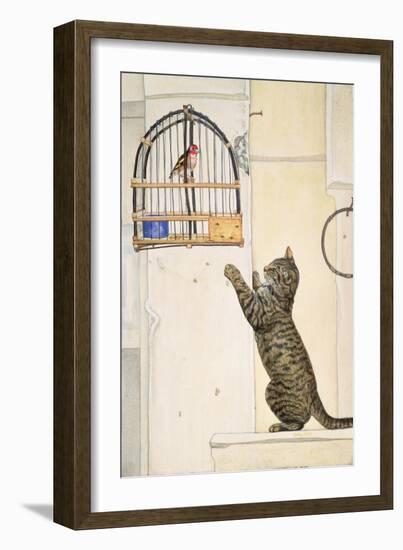 The Essuaira-Bird-Ditz-Framed Giclee Print