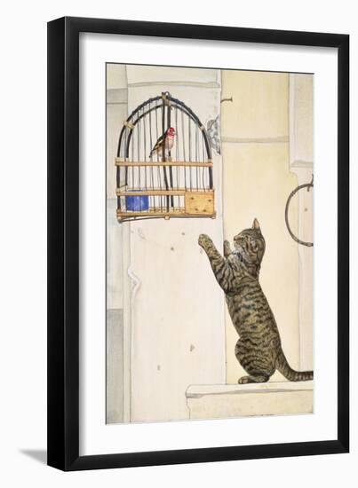 The Essuaira-Bird-Ditz-Framed Giclee Print