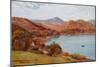 The Estuary and Dolgelley Road, Barmouth-Alfred Robert Quinton-Mounted Giclee Print