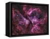 The Eta Carinae Nebula-Stocktrek Images-Framed Stretched Canvas