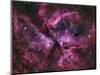 The Eta Carinae Nebula-Stocktrek Images-Mounted Photographic Print