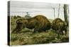 The European Bison-null-Stretched Canvas