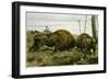 The European Bison-null-Framed Giclee Print