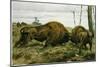 The European Bison-null-Mounted Giclee Print