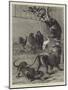 The European Happy Family, No II-Samuel Edmund Waller-Mounted Giclee Print