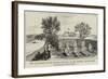 The Evacuation of the Soudan, Cemetery of the Ambukol Column, Tani-null-Framed Giclee Print