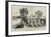 The Evacuation of the Soudan, Cemetery of the Ambukol Column, Tani-null-Framed Giclee Print