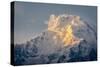 The Evening Sun on Annapurna South, 7219M, Annapurna Conservation Area, Nepal, Himalayas, Asia-Andrew Taylor-Stretched Canvas