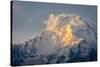 The Evening Sun on Annapurna South, 7219M, Annapurna Conservation Area, Nepal, Himalayas, Asia-Andrew Taylor-Stretched Canvas