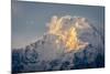 The Evening Sun on Annapurna South, 7219M, Annapurna Conservation Area, Nepal, Himalayas, Asia-Andrew Taylor-Mounted Photographic Print