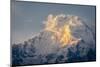 The Evening Sun on Annapurna South, 7219M, Annapurna Conservation Area, Nepal, Himalayas, Asia-Andrew Taylor-Mounted Photographic Print