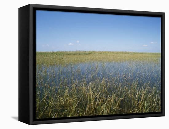 The Everglades, Everglades National Park, Florida, United States of America (Usa), North America-Philip Craven-Framed Stretched Canvas