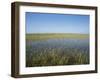 The Everglades, Everglades National Park, Florida, United States of America (Usa), North America-Philip Craven-Framed Photographic Print