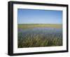 The Everglades, Everglades National Park, Florida, United States of America (Usa), North America-Philip Craven-Framed Photographic Print