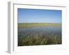 The Everglades, Everglades National Park, Florida, United States of America (Usa), North America-Philip Craven-Framed Photographic Print