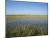 The Everglades, Everglades National Park, Florida, United States of America (Usa), North America-Philip Craven-Mounted Photographic Print